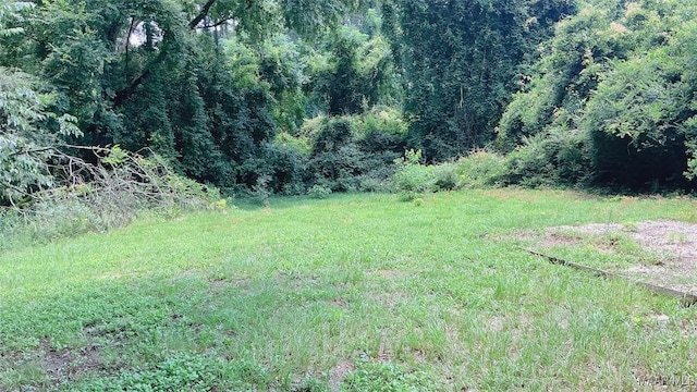 905 Milly Francis St, Wetumpka, AL 36092 - view of yard featuring a view of trees