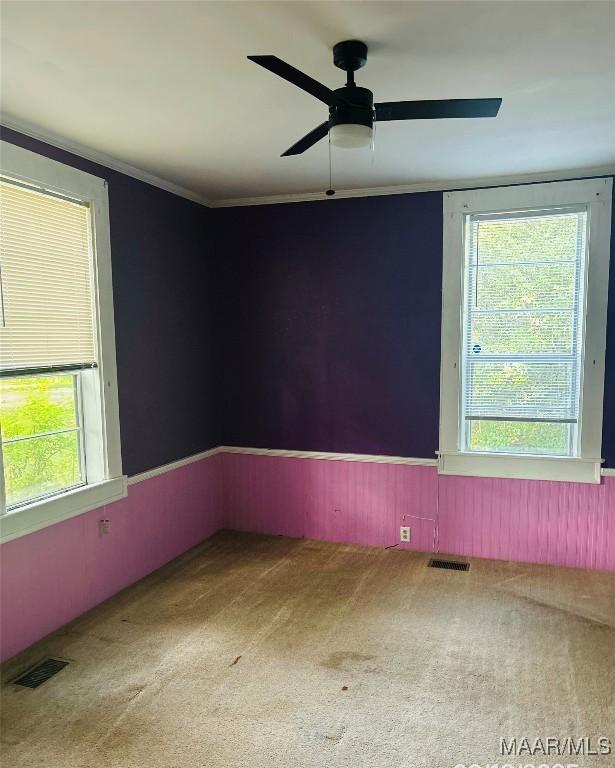 905 Milly Francis St, Wetumpka, AL 36092 - carpeted spare room featuring a wainscoted wall, a ceiling fan, and crown molding