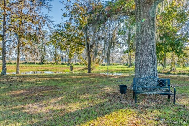 3900 Snowdoun Chambers Rd, Montgomery, AL 36116 - view of property's community with a water view
