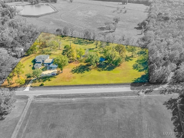 3900 Snowdoun Chambers Rd, Montgomery, AL 36116 - aerial view of property and surrounding area