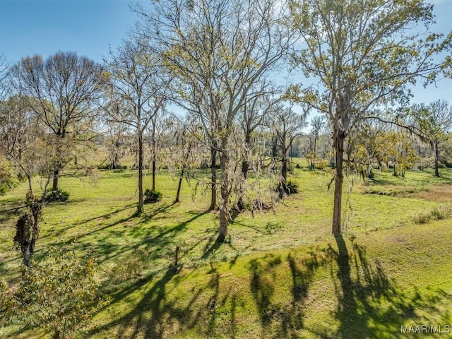 3900 Snowdoun Chambers Rd, Montgomery, AL 36116 - view of local wilderness