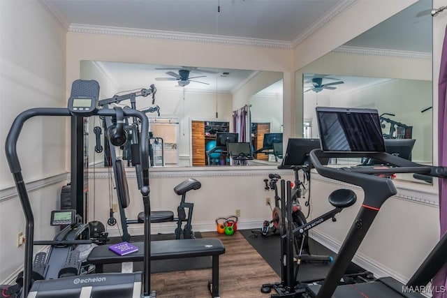 3900 Snowdoun Chambers Rd, Montgomery, AL 36116 - exercise room featuring ceiling fan, crown molding, and wood finished floors