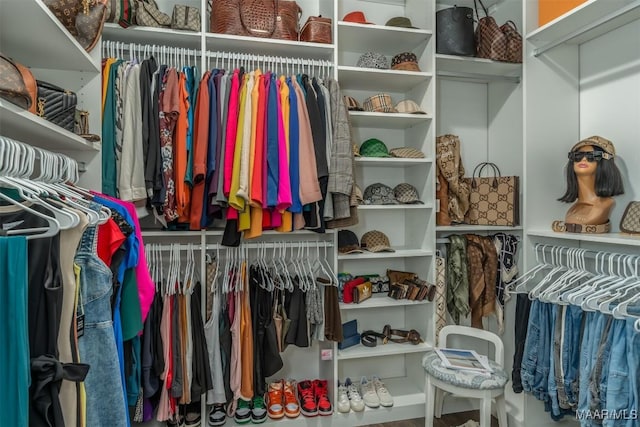 3900 Snowdoun Chambers Rd, Montgomery, AL 36116 - view of walk in closet