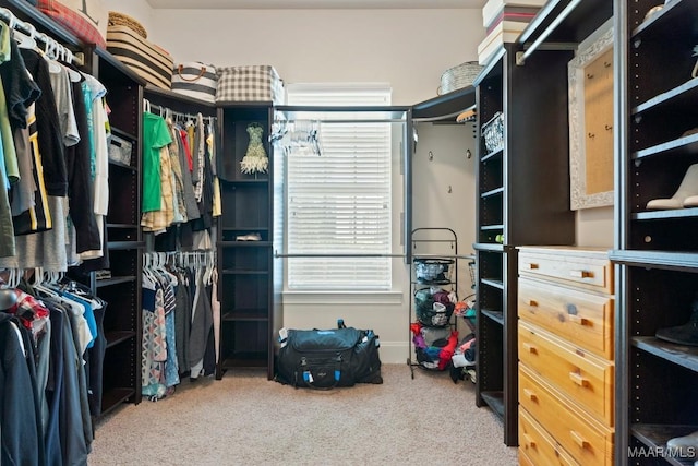 301 Eastgate Dr, Prattville, AL 36066 - walk in closet featuring carpet flooring