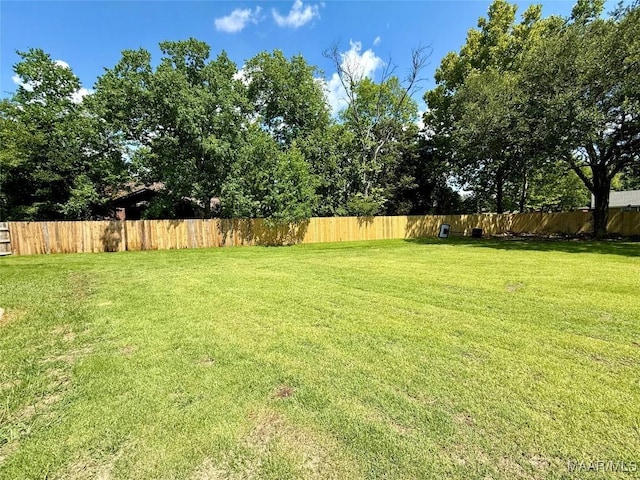 311 Old Marion Junction Rd, Selma, AL 36701 - view of yard
