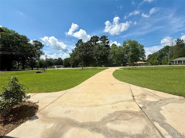 311 Old Marion Junction Rd, Selma, AL 36701 - surrounding community with a lawn and view of scattered trees