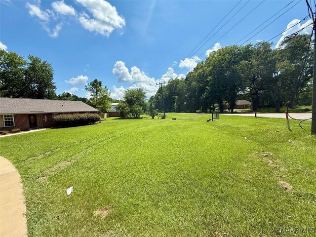 311 Old Marion Junction Rd, Selma, AL 36701 - view of green lawn