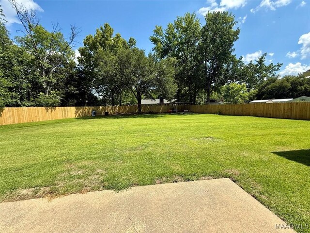 311 Old Marion Junction Rd, Selma, AL 36701 - view of fenced backyard