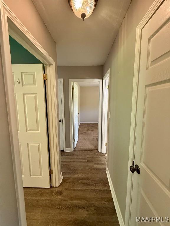 311 Old Marion Junction Rd, Selma, AL 36701 - corridor featuring dark wood-style flooring and baseboards