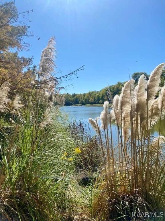 5650 Ash Grove Ct, Montgomery, AL 36116 - water view featuring a forest