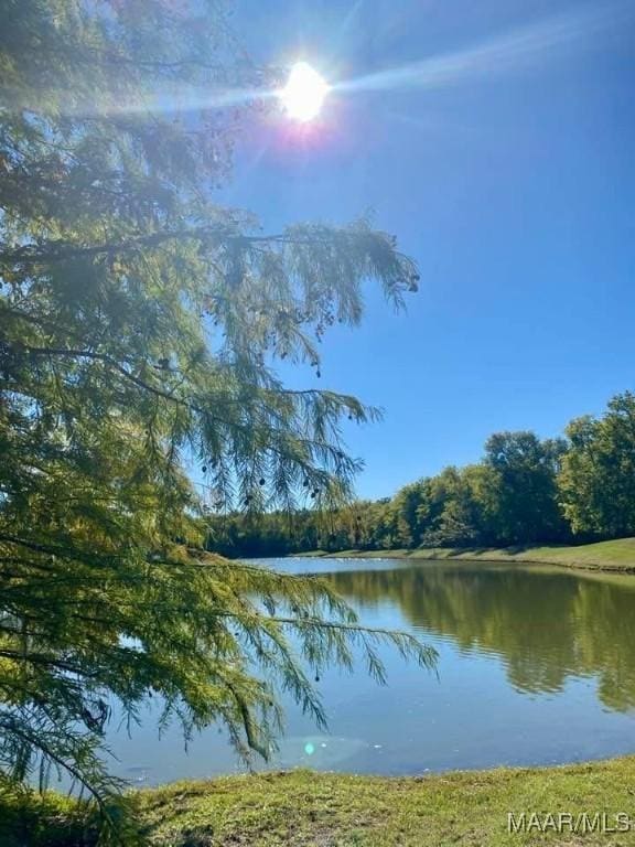 5650 Ash Grove Ct, Montgomery, AL 36116 - water view with a heavily wooded area