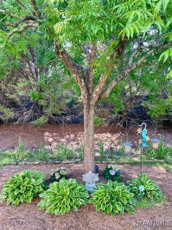 5650 Ash Grove Ct, Montgomery, AL 36116 - view of yard