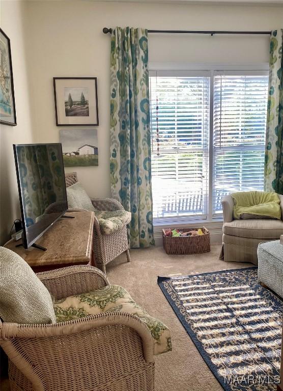 5650 Ash Grove Ct, Montgomery, AL 36116 - sitting room with carpet flooring