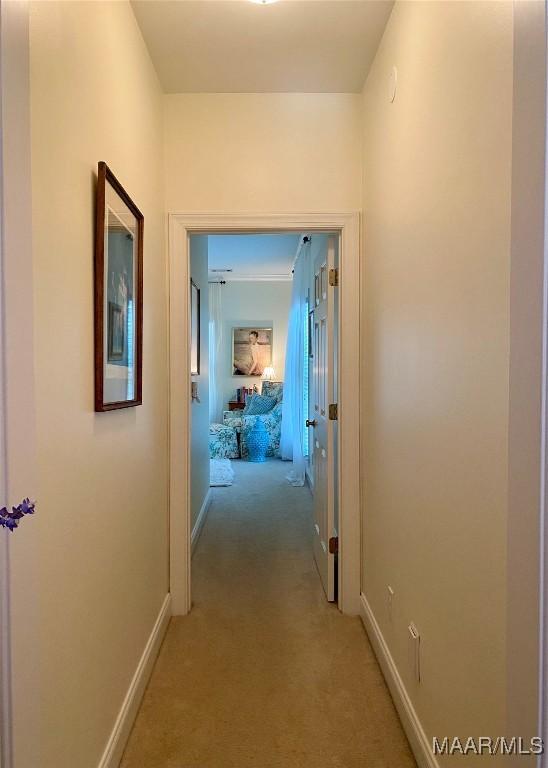 5650 Ash Grove Ct, Montgomery, AL 36116 - corridor with light colored carpet and baseboards