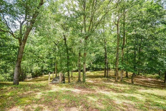134 Taylor Hill Dr, Wetumpka, AL 36092 - view of woods