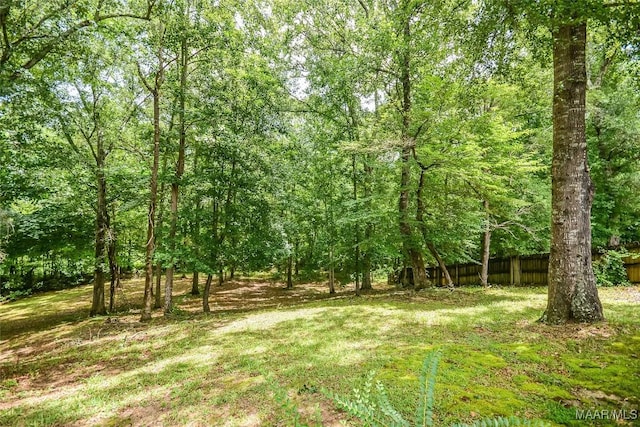 134 Taylor Hill Dr, Wetumpka, AL 36092 - view of undeveloped land