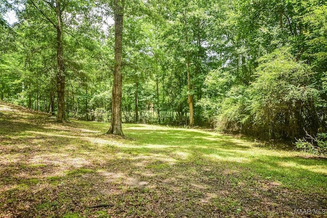 134 Taylor Hill Dr, Wetumpka, AL 36092 - view of grassy yard featuring a view of trees