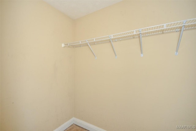 134 Taylor Hill Dr, Wetumpka, AL 36092 - view of walk in closet