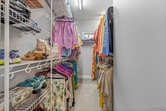 378 Winding Wood Dr, Wetumpka, AL 36093 - walk in closet with carpet