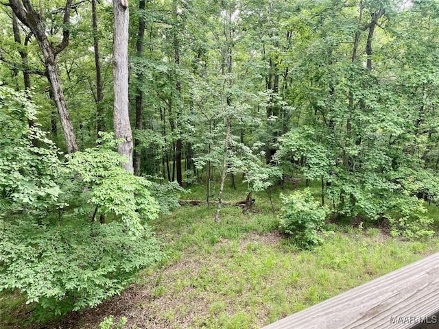 400 Millcreek Rd, Wetumpka, AL 36093 - view of tree filled area