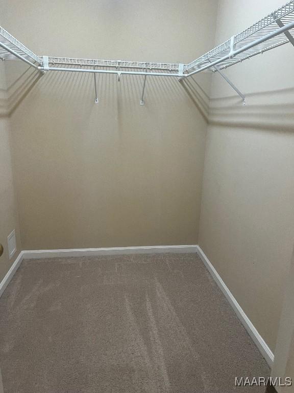 9324 Bristlecone Dr, Montgomery, AL 36117 - walk in closet with carpet floors