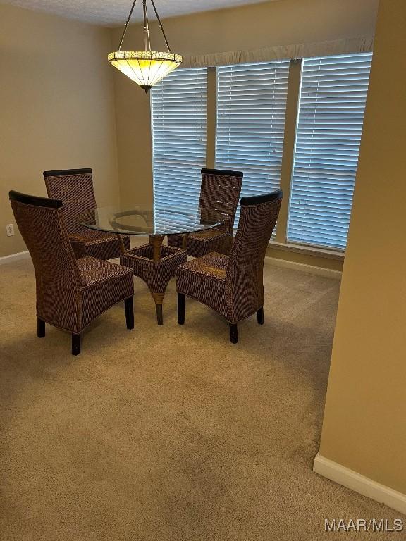 9324 Bristlecone Dr, Montgomery, AL 36117 - dining space with carpet flooring
