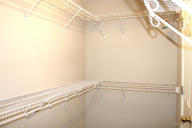 2108 Halcyon Downs Loop, Montgomery, AL 36117 - view of spacious closet