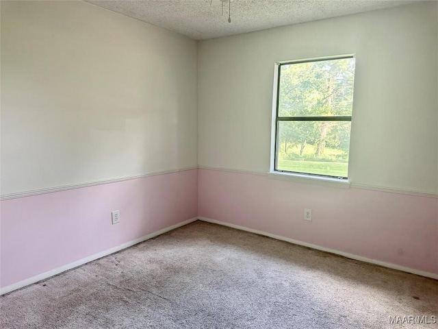 174 Weldon Rd, Tallassee, AL 36078 - carpeted spare room with plenty of natural light and a textured ceiling
