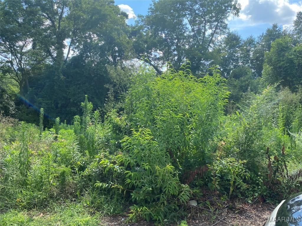 1303 Maxey St, Selma, AL 36701