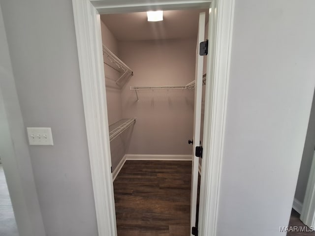 101 Regans Way S, Deatsville, AL 36022 - spacious closet with wood finished floors