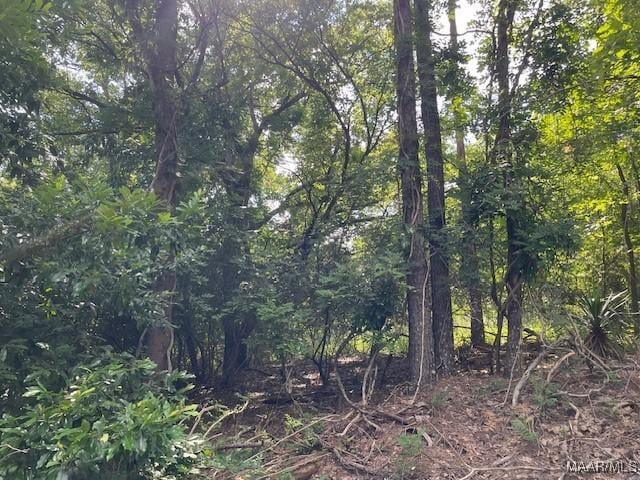 LOT11 Busch Hill Rd, Wetumpka, AL 36093
