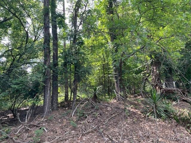 LOT11 Busch Hill Rd, Wetumpka, AL 36093