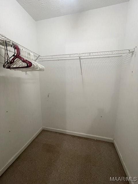 3440 Wickham Rd, Montgomery, AL 36116 - walk in closet with carpet