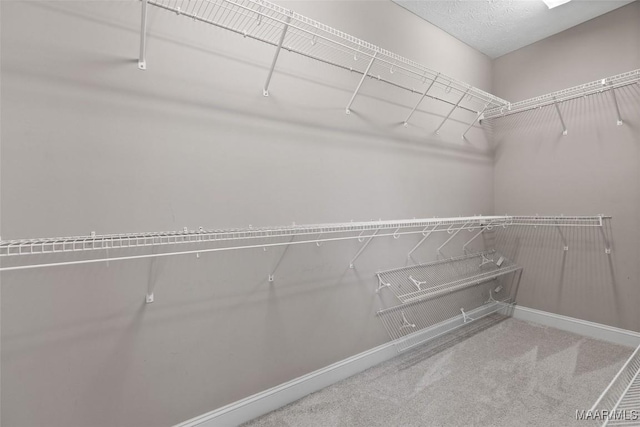 59 Gresham Dr, Millbrook, AL 36054 - walk in closet with carpet floors