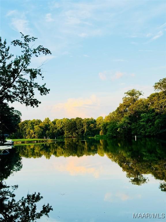 LOT54 Robinson Pond Rd, Prattville, AL 36067 - photo 1