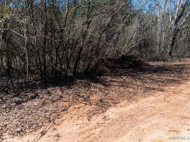 0 County Road 788, Clanton, AL 35046