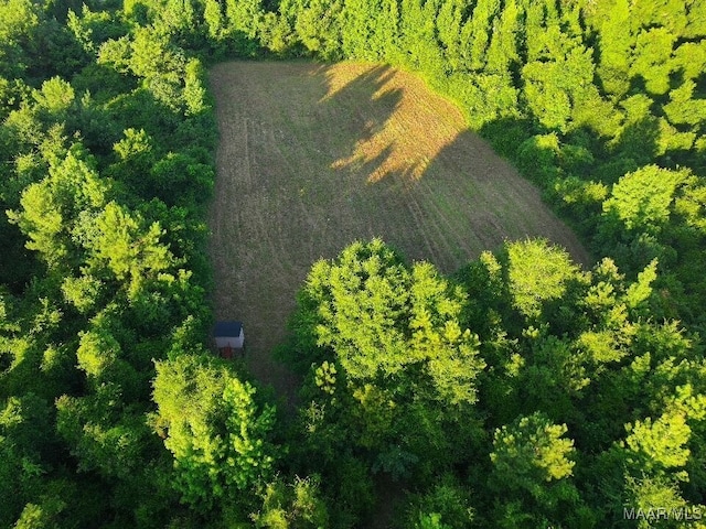1205 Turkey Creek Rd, Luverne, AL 36049