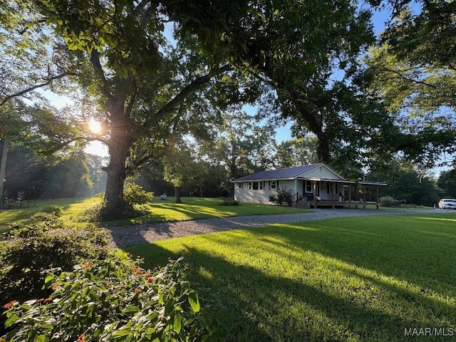 1205 Turkey Creek Rd, Luverne, AL 36049