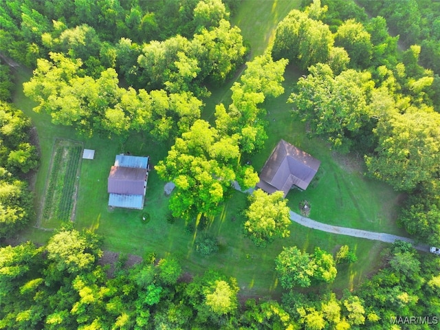 1205 Turkey Creek Rd, Luverne, AL 36049