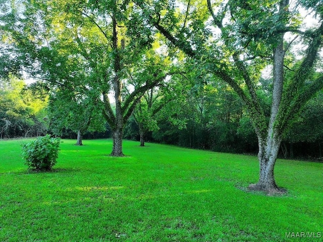 1205 Turkey Creek Rd, Luverne, AL 36049