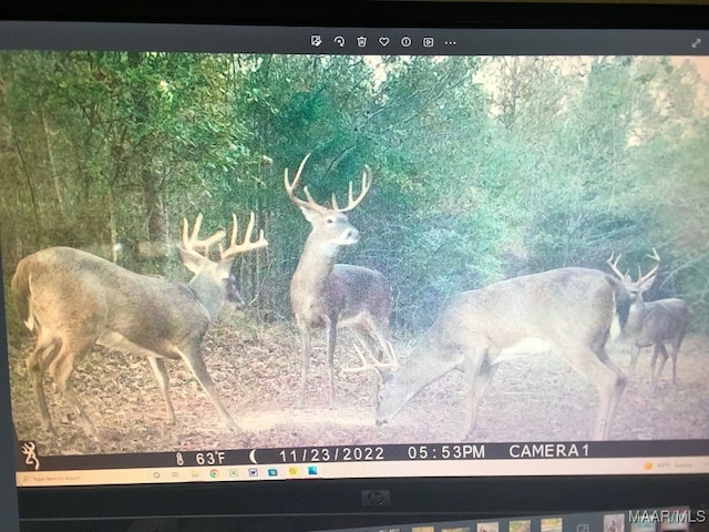 1205 Turkey Creek Rd, Luverne, AL 36049