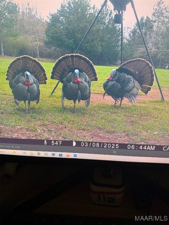 1205 Turkey Creek Rd, Luverne, AL 36049