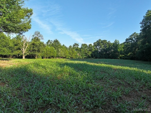 1205 Turkey Creek Rd, Luverne, AL 36049