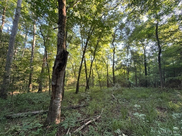 1205 Turkey Creek Rd, Luverne, AL 36049