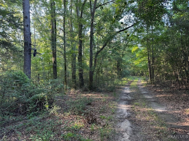 1205 Turkey Creek Rd, Luverne, AL 36049