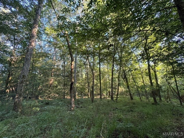 1205 Turkey Creek Rd, Luverne, AL 36049