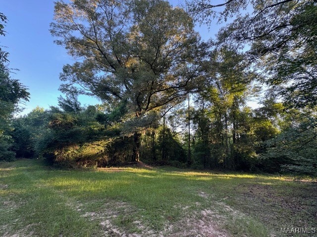 1205 Turkey Creek Rd, Luverne, AL 36049