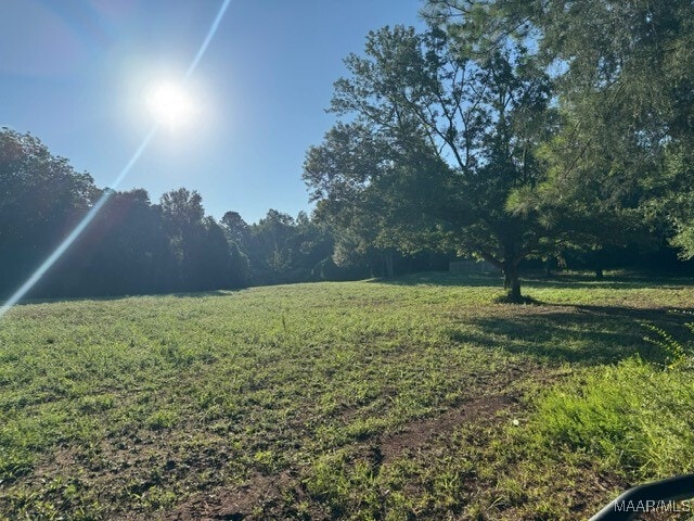 1205 Turkey Creek Rd, Luverne, AL 36049