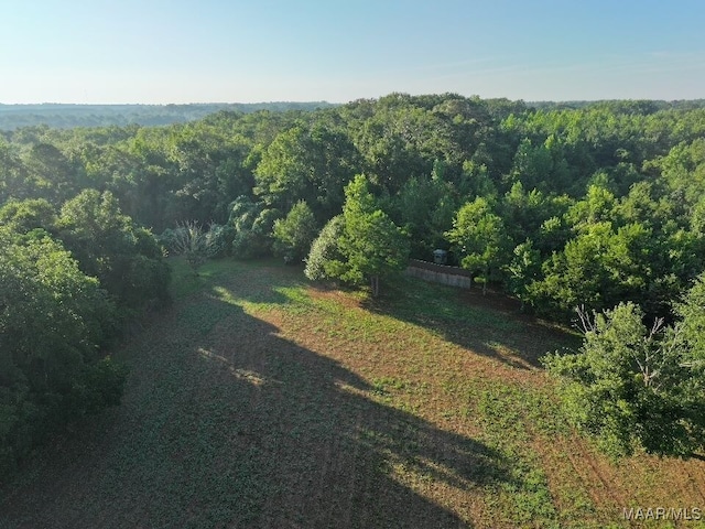 1205 Turkey Creek Rd, Luverne, AL 36049