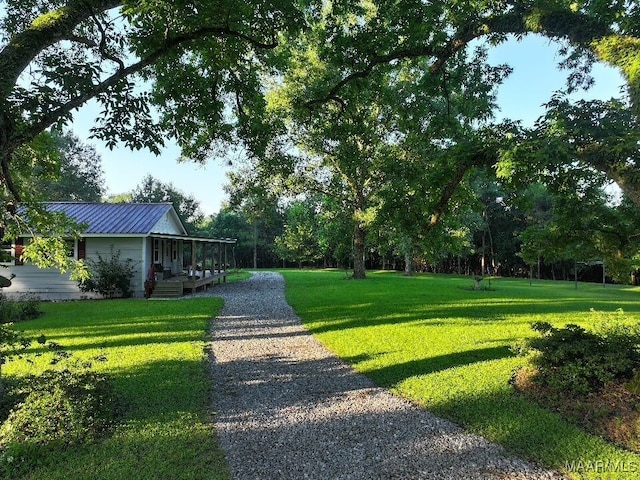 1205 Turkey Creek Rd, Luverne, AL 36049